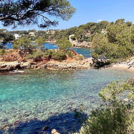 Tres Bel Appartement Climatise Terrasse Et Vue Mer Bandol Exteriör bild