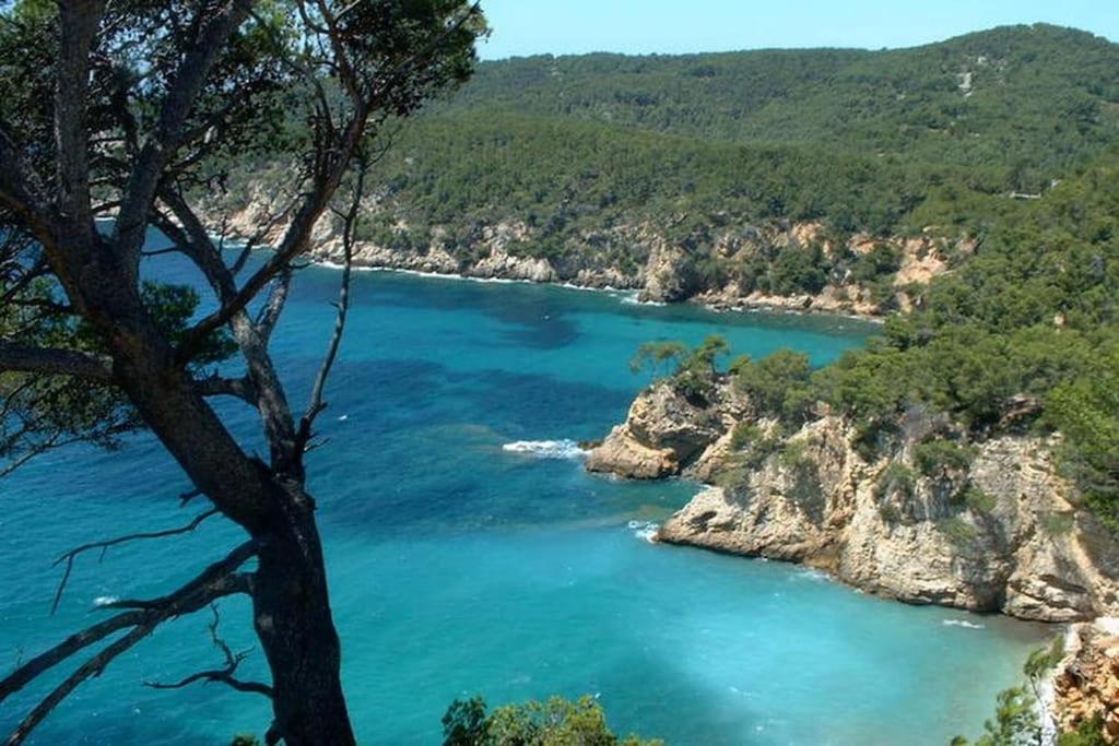 Tres Bel Appartement Climatise Terrasse Et Vue Mer Bandol Exteriör bild